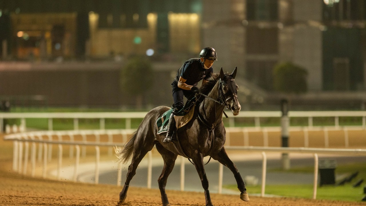 Preview: Mishriff Has Tough Challenge In The 2021 Dubai Shee ... Image 2
